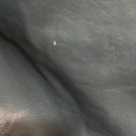 We the Free Vegan Wild Rose Vegan Leather Bomber - Picture 11 of 13